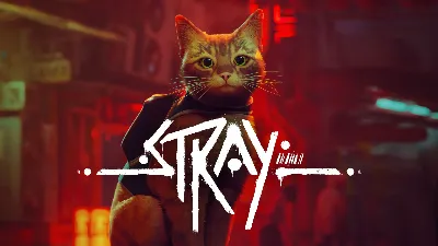 💻🐈 STRAY 🐈 Steam ☘️