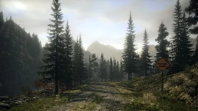 Alan Wake +ВЫБОР STEAM•RU ⚡️АВТОДОСТАВКА 💳0%