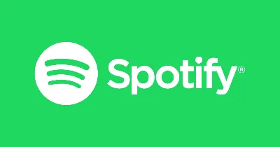 🔥 Spotify Premium 6 месяцев | Личный кабинет 🔥