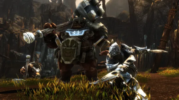 Kingdoms of Amalur: Re-Reckoning (STEAM КЛЮЧ) РФ+СНГ | РУС.ЯЗ