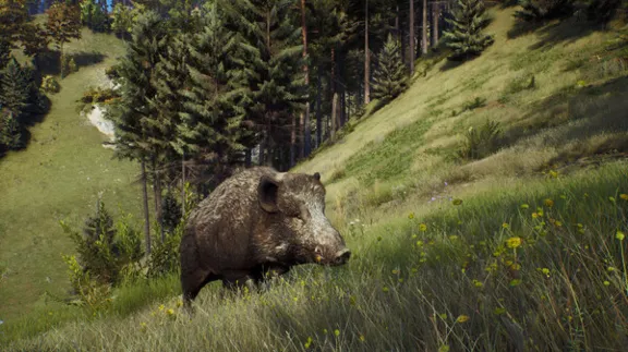 ⚡️Way of the Hunter | АВТОДОСТАВКА [Россия Steam Gift]