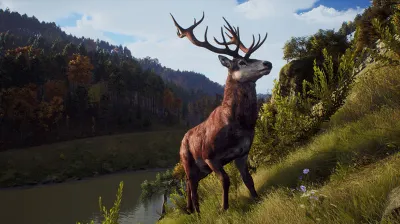 ⚡️Way of the Hunter | АВТОДОСТАВКА [Россия Steam Gift]