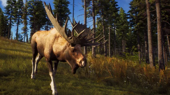 ⚡️Way of the Hunter Elite Edition | АВТО RU Steam Gift