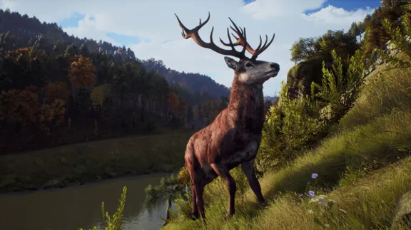 ⚡️Way of the Hunter Elite Edition | АВТО RU Steam Gift