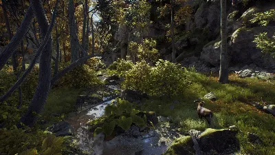 Way of the Hunter Elite Edition. STEAM-ключ (RU+СНГ)