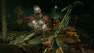 Dying Light: Definitive 10th Anniversary Edition STEAM⚡