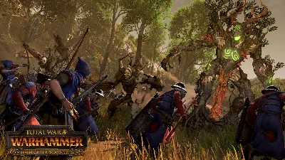 ✅Total War: WARHAMMER Realm of the Wood Elves Steam Key