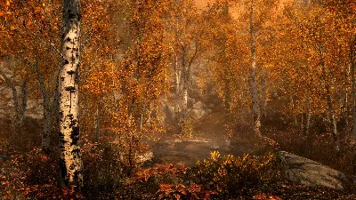 The Elder Scrolls V: Skyrim Anniversary Edition * RU