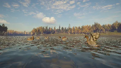 theHunter: Call of the Wild - Revontuli Coast * RU/СНГ