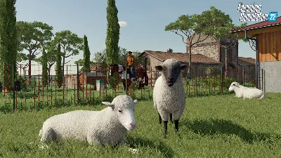 Farming Simulator 22 +ВЫБОР STEAM•RU ⚡️АВТО 💳0%