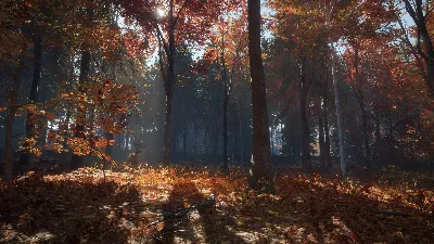 theHunter: Call of the Wild - New England Mountains