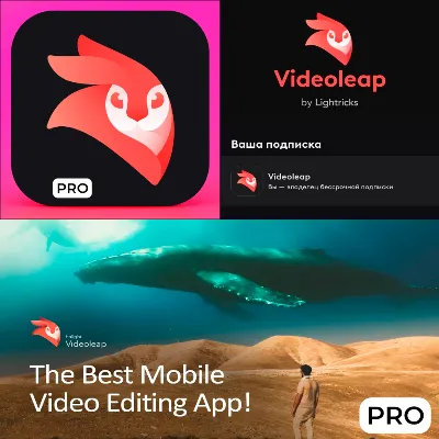 ⚡Videoleap AI Video Editor PRO iPhone ios AppStore iPad