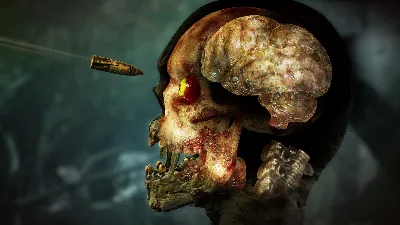 Zombie Army 4: Dead War STEAM•RU ⚡️AUTODELIVERY 💳0%
