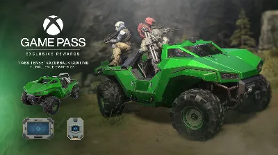 🔑 Halo Infinite Pass Tense Razorback Razerback Bundle