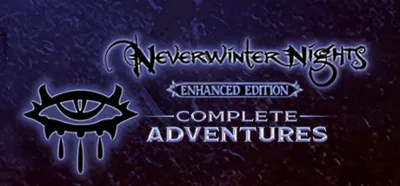 🔥 Neverwinter Nights: Complete Adventures (2024)  Steam Ключ РФ+МИР