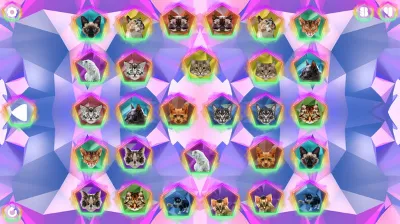 Poly Memory Cats STEAM KEY REGION FREE GLOBAL ROW