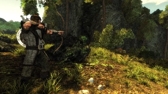 Risen (steam key)