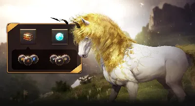 Black Desert Online 🔑 Today&acute;s Fine Steed Training Box