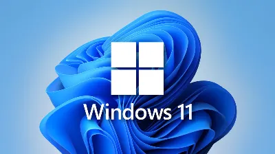 WINDOWS 11 PRO📀OEM |Без комиссии|MS Partner Бессрочный