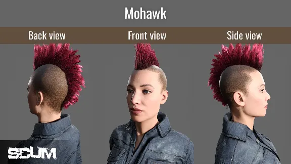 SCUM Hair Deluxe 1 DLC🔸STEAM Россия⚡️АВТОДОСТАВКА