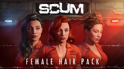 SCUM Hair Deluxe 1 DLC🔸STEAM Россия⚡️АВТОДОСТАВКА