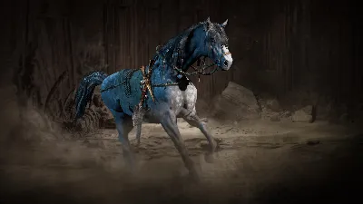 ✅❤️DIABLO IV: КОМПЛЕКТ РАСХИТИТЕЛЯ ГРОБНИЦ❤️XBOX🔑КЛЮЧ