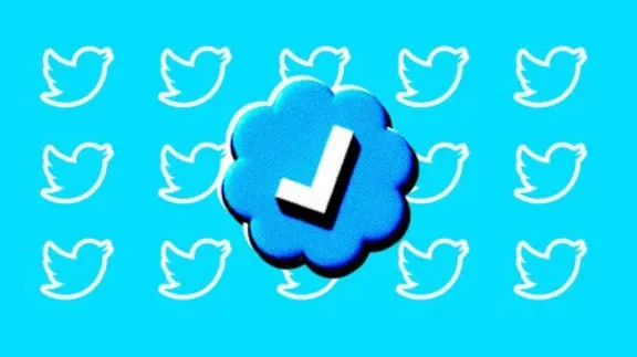 🔷 TWITTER BLUE  1/12 MONTH 🔷