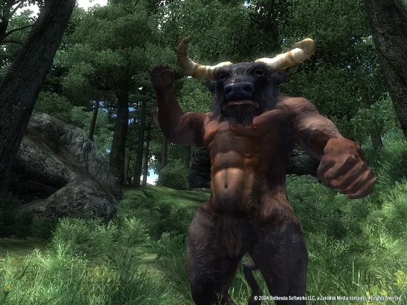 The Elder Scrolls IV: Oblivion® GOTY Deluxe (Steam ключ/Весь Мир)