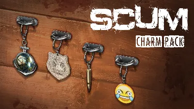 SCUM Charms 1 DLC STEAM•RU ⚡️AUTODELIVERY 💳0%