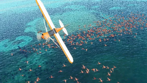 MICROSOFT FLIGHT SIMULATOR STANDARD 40TH✅XBOX+PC🔑КЛЮЧ✅