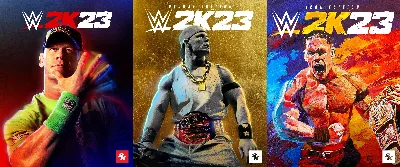 ⭐️ WWE 2K23 [Steam/Global]