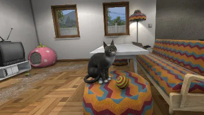 House Flipper Pets VR⚡AUTODELIVERY Steam Russia