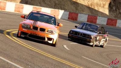 Assetto Corsa Steam Gift 🚀 АВТО 💳0% Карты