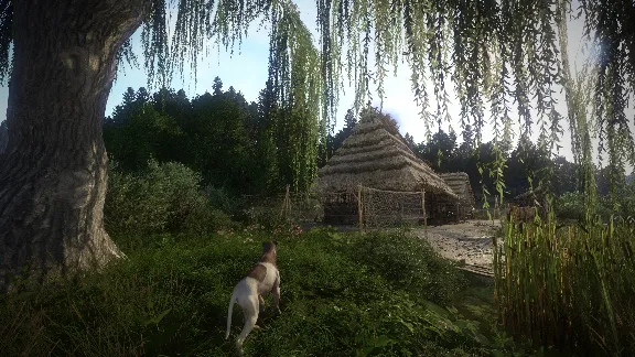 ❗KINGDOM COME: DELIVERANCE - ROYAL EDITION❗XBOX КЛЮЧ❗