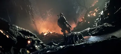 Tom Clancy’s The Division · Standard/Definitive · Steam RU · АВТО