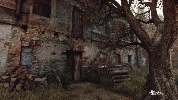 The Vanishing of Ethan Carter - Collector&acute;s Edition Upg