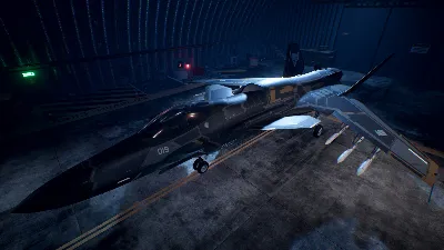 ACE COMBAT™ 7: SKIES UNKNOWN – ASF-X Shinden II Set