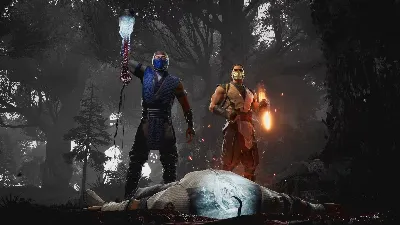 Mortal Kombat 1 Definitive Edition (Steam/Global) Offline account
