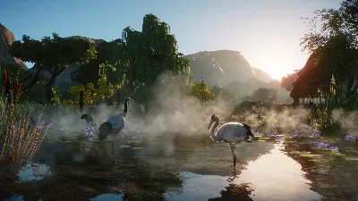 Planet Zoo: Wetlands Animal Pack DLC STEAM ⚡️AUTO 💳0%