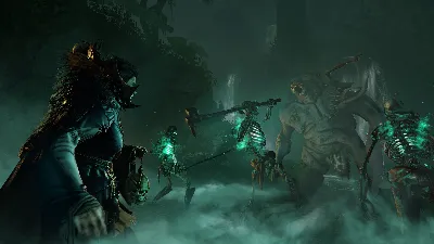 Warhammer: Vermintide 2 - Necromancer Career STEAM⚡️