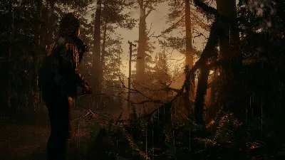 🔴Alan Wake II 2 EPIC GAMES/PS5/XBOX💳0%💎ГАРАНТИЯ 🔴