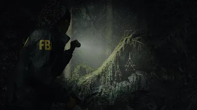 🔦 Alan Wake 2 Deluxe + DLC NIGHT SPRINGS XBOX Аккаунт