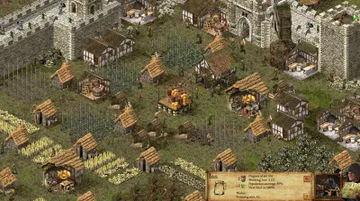 ⚡️Stronghold: Definitive Edition | АВТОДОСТАВКА RU Gift