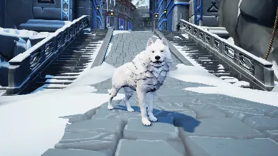 Eville - Wolf Pack DLC * STEAM RUSSIA🔥AUTODELIVERY
