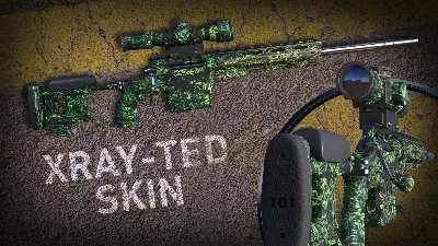 Sniper Ghost Warrior Contracts 2 - Xray-ted Skin (Steam Gift RU)
