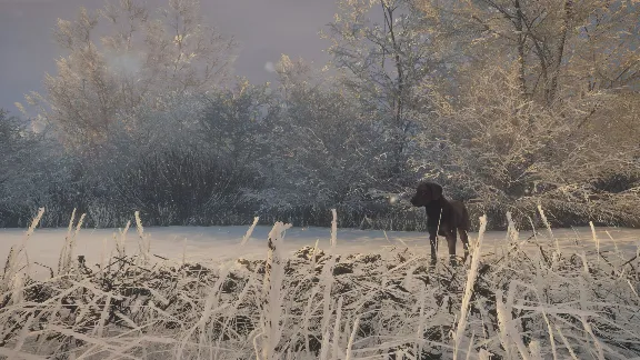 theHunter: Call of the Wild™ - Labrador Retriever DLC