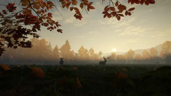 ❗ CALL OF THE WILD - NEW ENGLAND MOUNTAINS❗XBOX КЛЮЧ❗
