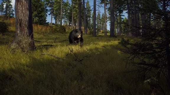❗WAY OF THE HUNTER: SEASON PASS❗XBOX X|S🔑КЛЮЧ❗