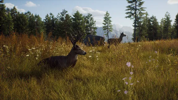 ❗WAY OF THE HUNTER: SEASON PASS❗XBOX X|S🔑КЛЮЧ❗