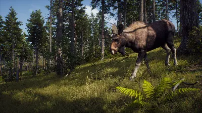 ❗WAY OF THE HUNTER: SEASON PASS❗XBOX X|S🔑КЛЮЧ❗